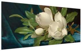 Kép - Martin Johnson Heade, Giant Magnolias on a Blue Velvet Cloth, reprodukciók (120x50 cm)