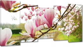 Vászonkép 150x80 Magnólia Budapest Virág