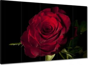 Vászonkép 100x70 Vörös rózsa