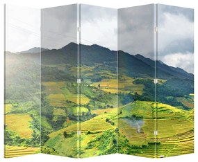 Paraván - Ültetvények (210x170 cm)