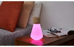 Natúr színű szabályozható asztali lámpa (magasság 13 cm) Pentagon – Gingko