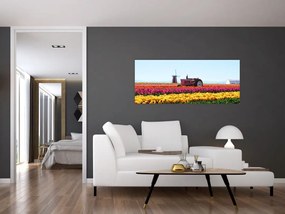 Tulipánfarm képe (120x50 cm)