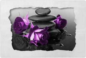 Poszterek 120x80 Lila rózsák Spa kő