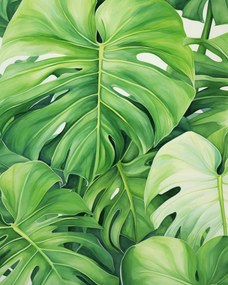 Poszter 40x50cm A levelek titkai