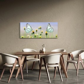 Pillangók eképe a virágon (120x50 cm)