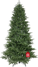 Kaukázusi jegenyefenyő 100 % 180 cm