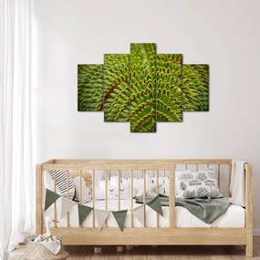 Kép - Fern (150x105 cm)