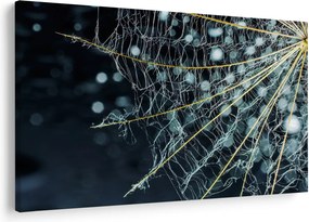 Kép - Virág pókhálóval (90x60 cm)