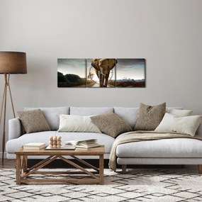 Elefánt képe (órával) (90x30 cm)