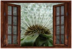 Poszterek 60x40 Pitypang Virág Virágok