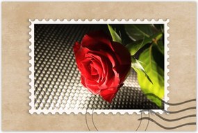 Poszterek 90x60 Ízléses rózsa ajándékba