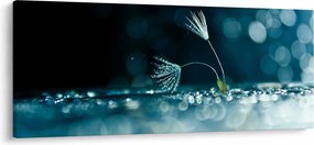 Kép - Makró (120x50 cm)