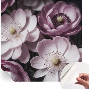 Fotótapéta Öntapadós Fali Falikép Virágos elegancia 250x250 cm