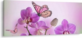 Kép - Pillangó orchidea virágon, lila (120x50 cm)