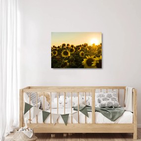 A napraforgó mező képe (üvegen) (70x50 cm)