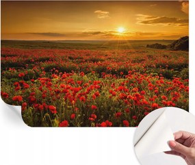 Öntapadós Dekoratív Fotótapéta Hálószobába Pipacs mező 104x70 cm