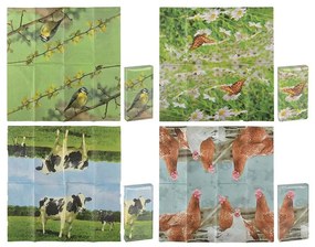 Állatmintás zsebkendő, bocis