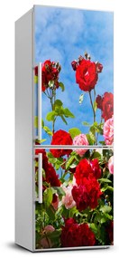 Hűtő matrica Vad rózsa FridgeStick-70x190-f-104021490