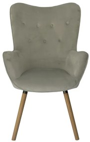 Világosszürke bársony fotel COZY