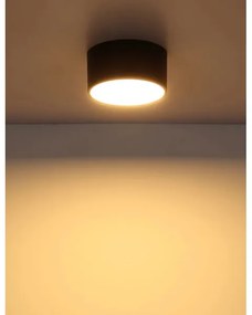 Globo 56964S - LED mennyezeti lámpa RAYMOND LED/12W/230V 3000K átm. 15 cm fekete