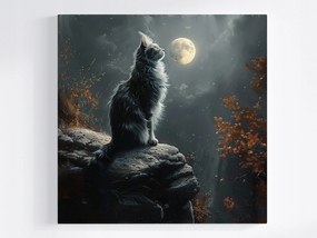 Vászonkép Canvas Éjszaka Sötét Ég Hold Szürke Macska 80x80