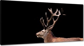 Vászonkép 115x55 Szarvas szarvakkal