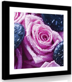 Vászonkép 40x40 Tea rózsák vízcseppek kövek frissesség nyugalom virágok