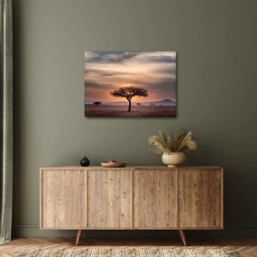 Naplemente képe Tanzániában (70x50 cm)