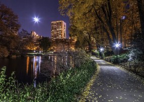 Poszter 29,7x21cm Esti kilátás a New York-i Central Parkra 8, Assaf Fra