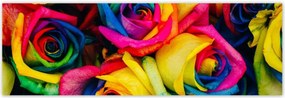 Poszterek 200x66 Színes rózsák Virágok