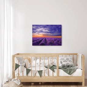 Egy levendula mező képe (70x50 cm)