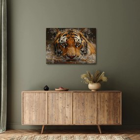 Kép - Portré egy tigris a vízben (70x50 cm)