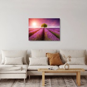 Levendula mező képe (üvegen) (70x50 cm)