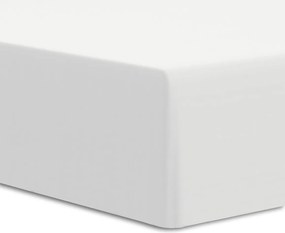 Gumis lepedő Darymex jersey 220 x 200 cm