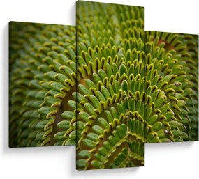 Kép - Fern (90x60 cm)