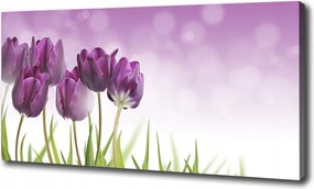 Vászonkép Filc tulipánok 120x60 cm