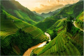 Kép - Mu Cang Chai rizsteraszok (90x60 cm)