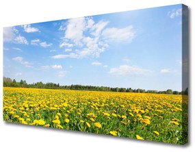 Vászonkép Dandelion Meadow 100x50 cm