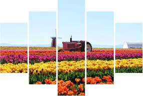 Tulipánfarm képe (150x105 cm)