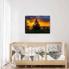 Kép - tűlevelűek (üvegen) (70x50 cm)