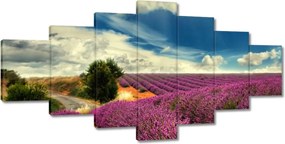 Festmények 210x100 Levendula tájkép