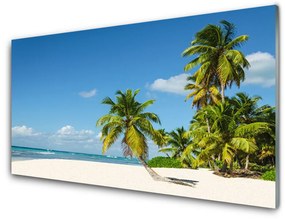 Üvegkép Palm Beach Sea Landscape 100x50 cm