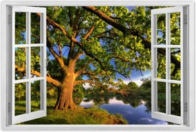 Poszterek 90x60 Tölgy a croissant-ban Nyugat