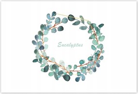 Poszterek 200x135 Eukaliptusz levelek