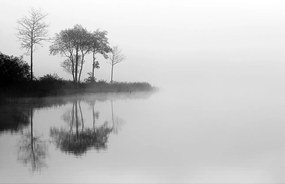Dekoria Vászonkép By the Lake I