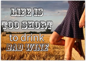 Poszterek A3 Szint Life is too short