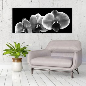 Egy orchidea virág képe (120x50 cm)