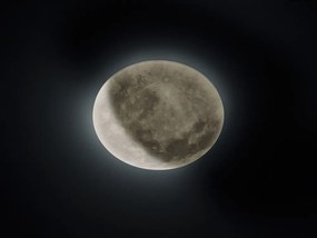 Világosszürke LED gyerek mennyezeti lámpa akrilüveg búrával ø 40 cm Lunar – Trio