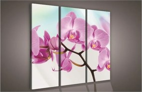Orchidea, 3 darabos vászonkép, 90x80 cm méretben