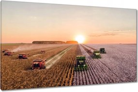 Vászonkép 120x70 Aratás Mezőgazdaság Kombájn